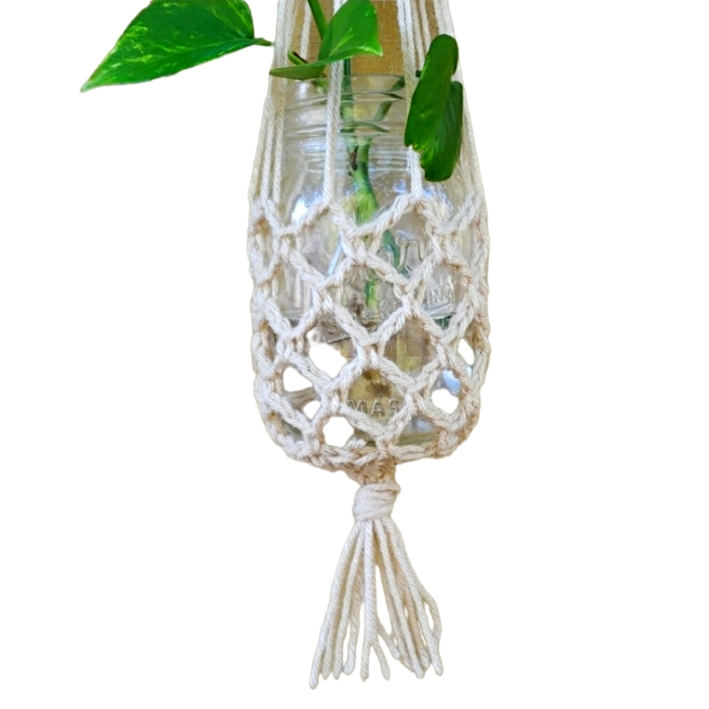 Plant Hanger